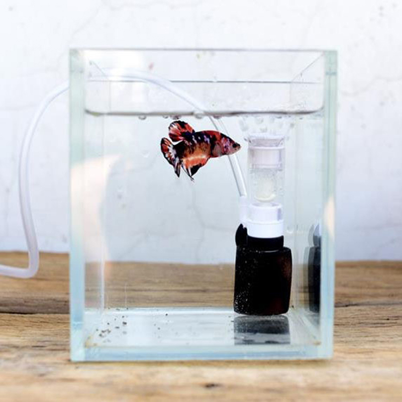 Aquaculture Aerator Pump - 1PC Aquarium Air Pump Filter Fish