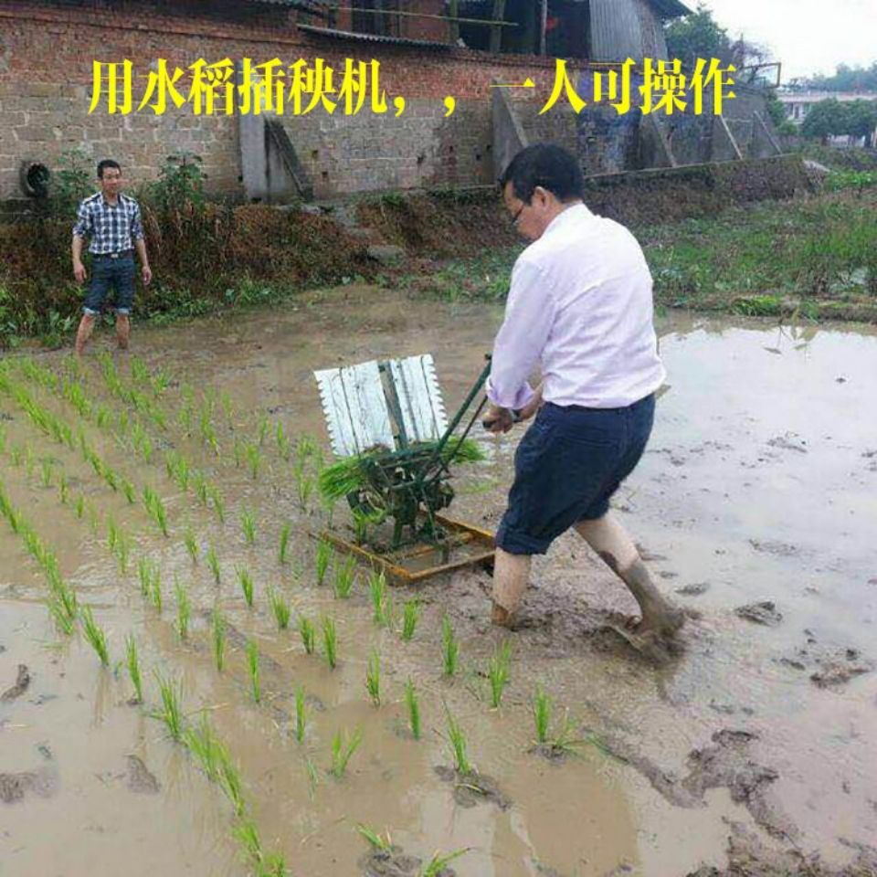 Rice transplanter Hand-cranked - Agriculture Farming Rice 评论和价格