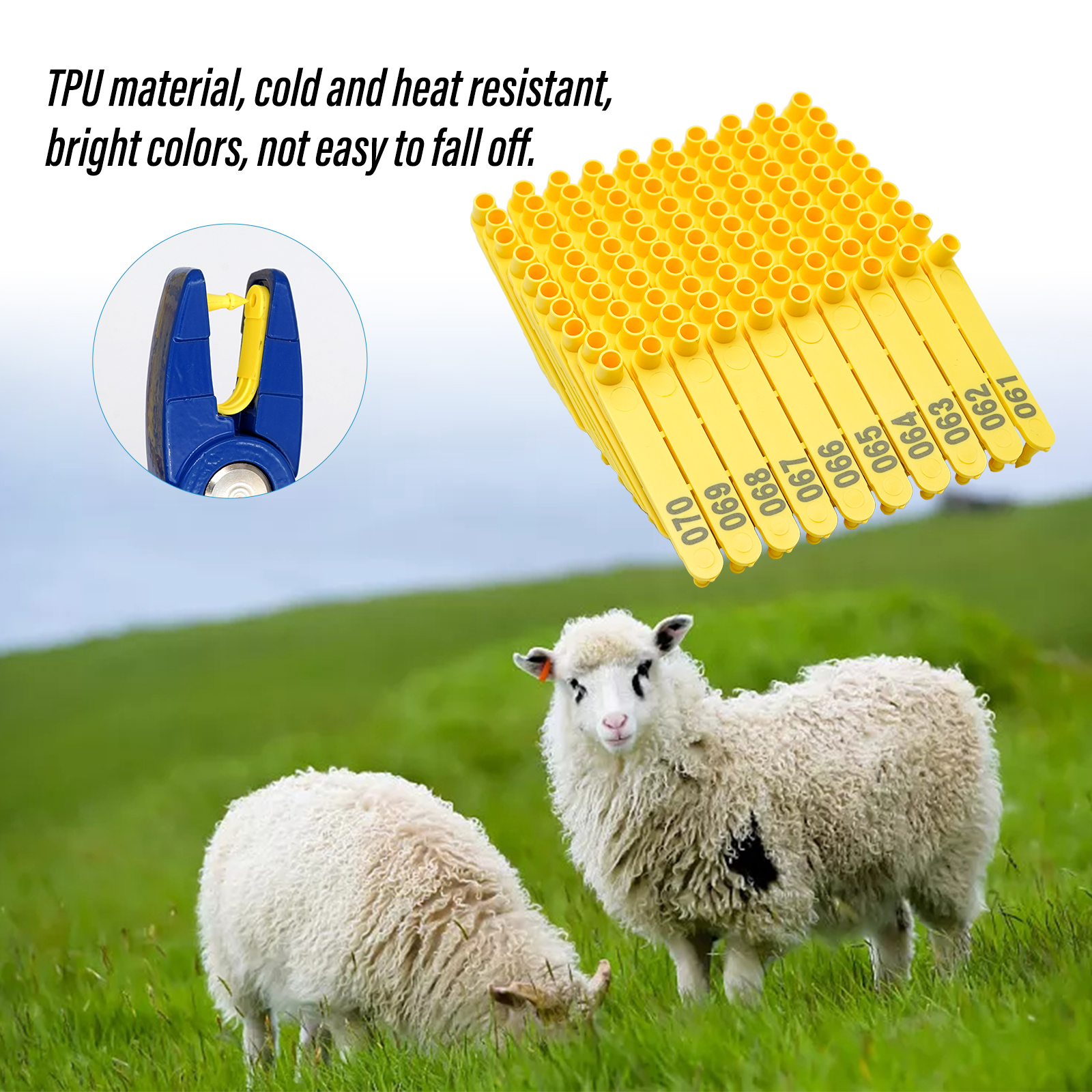 100pcs Sheep Ear Tags Livestoc - Livestock Ear Tag 评论和价格