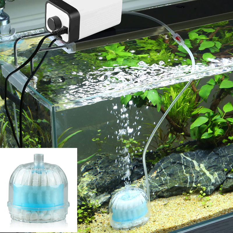 Mini Aquarium Spong Filter Air - Aquaculture Aerator Pump 评论和价格