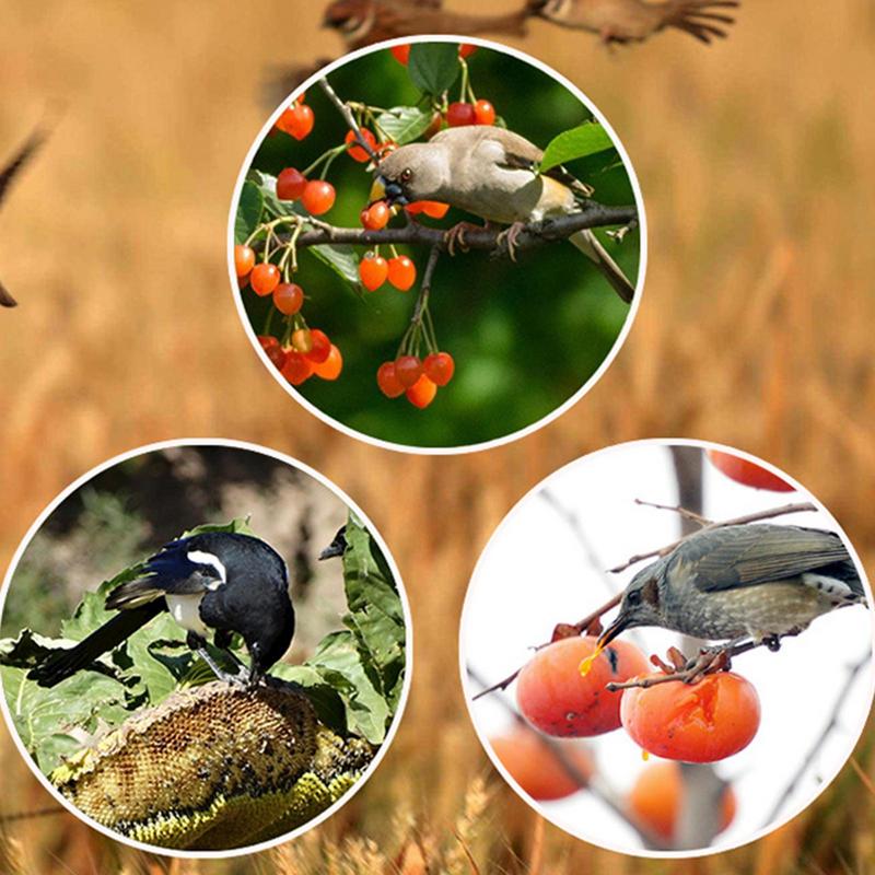 Solar Timer Bird Repeller With - Solar Bird Scarer 评论和价格