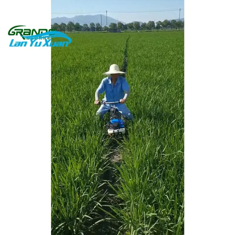 (Sea Shipping) Factory Price P - Farming Year 评论和价格