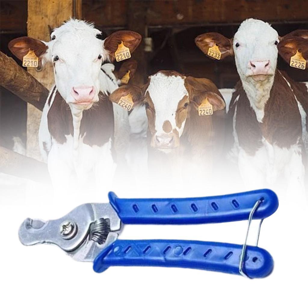 Stainless Steel Animal Ear Tag - Livestock Ear Tag 评论和价格