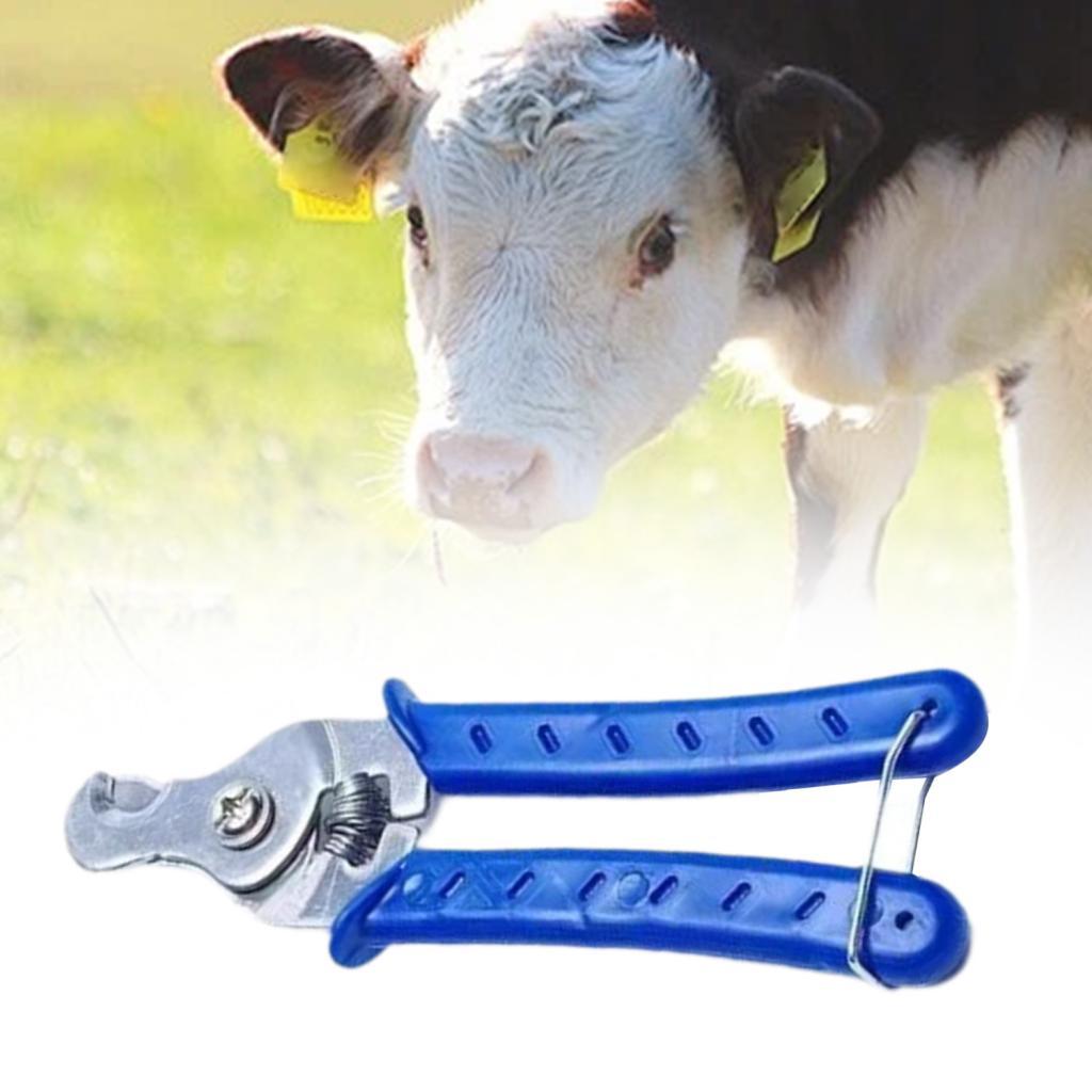 Stainless Steel Animal Ear Tag - Livestock Ear Tag 评论和价格