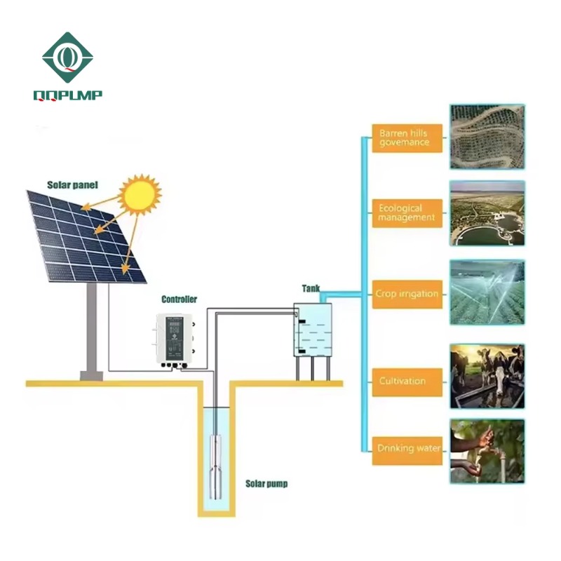 Bomba Solar De Rega Agricultur - Agriculture Farming Systems 评论和价格
