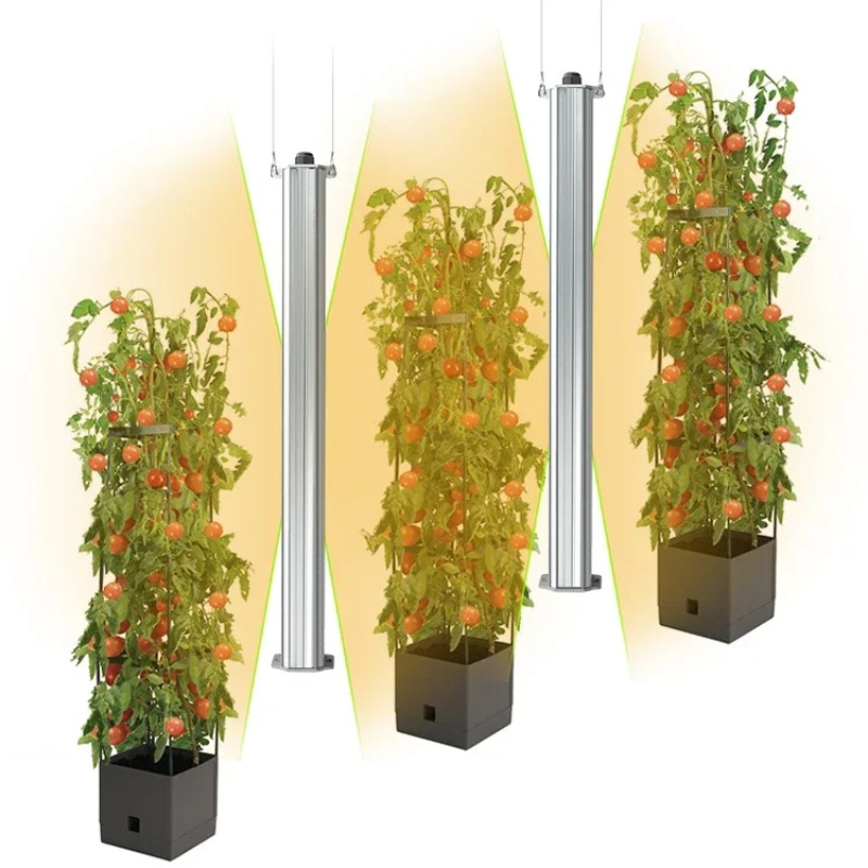 Best ETL Listed Plant Green Wa - List Of Agriculture Farming 评论和价格