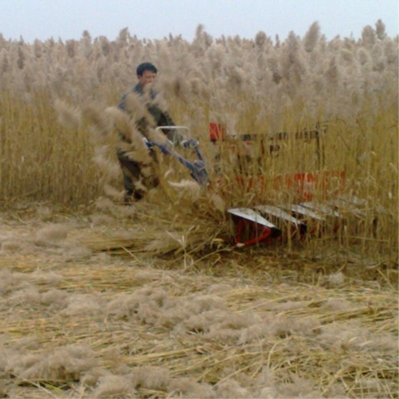 Farm Equipment Small Handy Agr - Agriculture Farming Rice 评论和价格