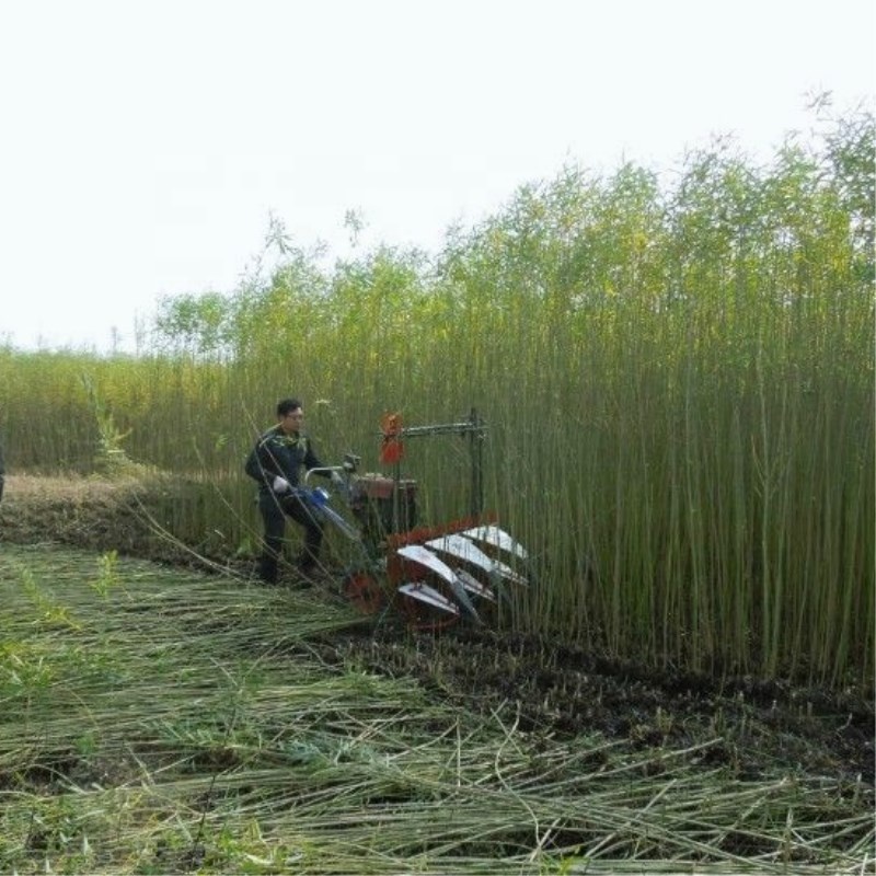 Farm Equipment Small Handy Agr - Agriculture Farming Rice 评论和价格