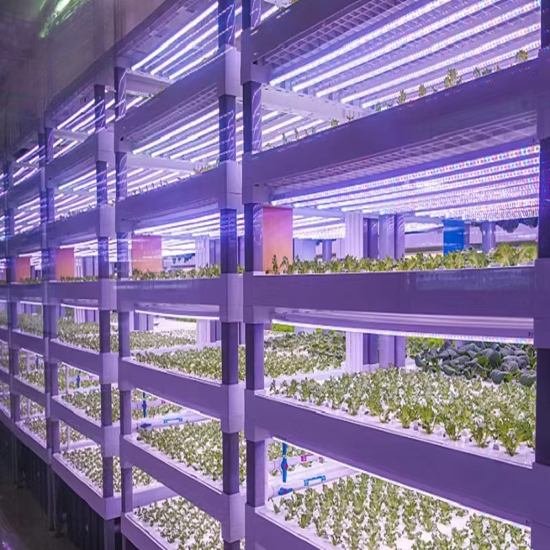 Custom Agricultural Greenhouse - Agriculture Farming Systems 评论和价格