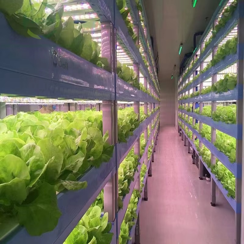Custom Agricultural Greenhouse - Agriculture Farming Systems 评论和价格