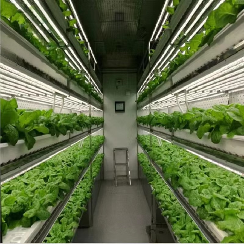 Custom Agricultural Greenhouse - Agriculture Farming Systems 评论和价格