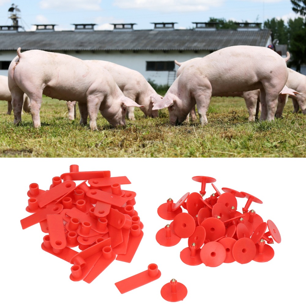 100Pcs Hand-writable Blank Liv - Livestock Ear Tag 评论和价格