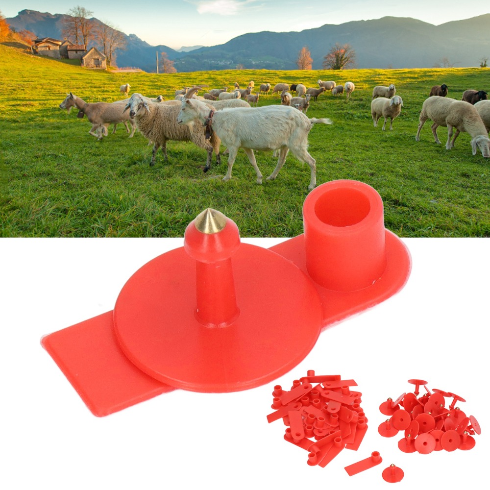 100Pcs Hand-writable Blank Liv - Livestock Ear Tag 评论和价格
