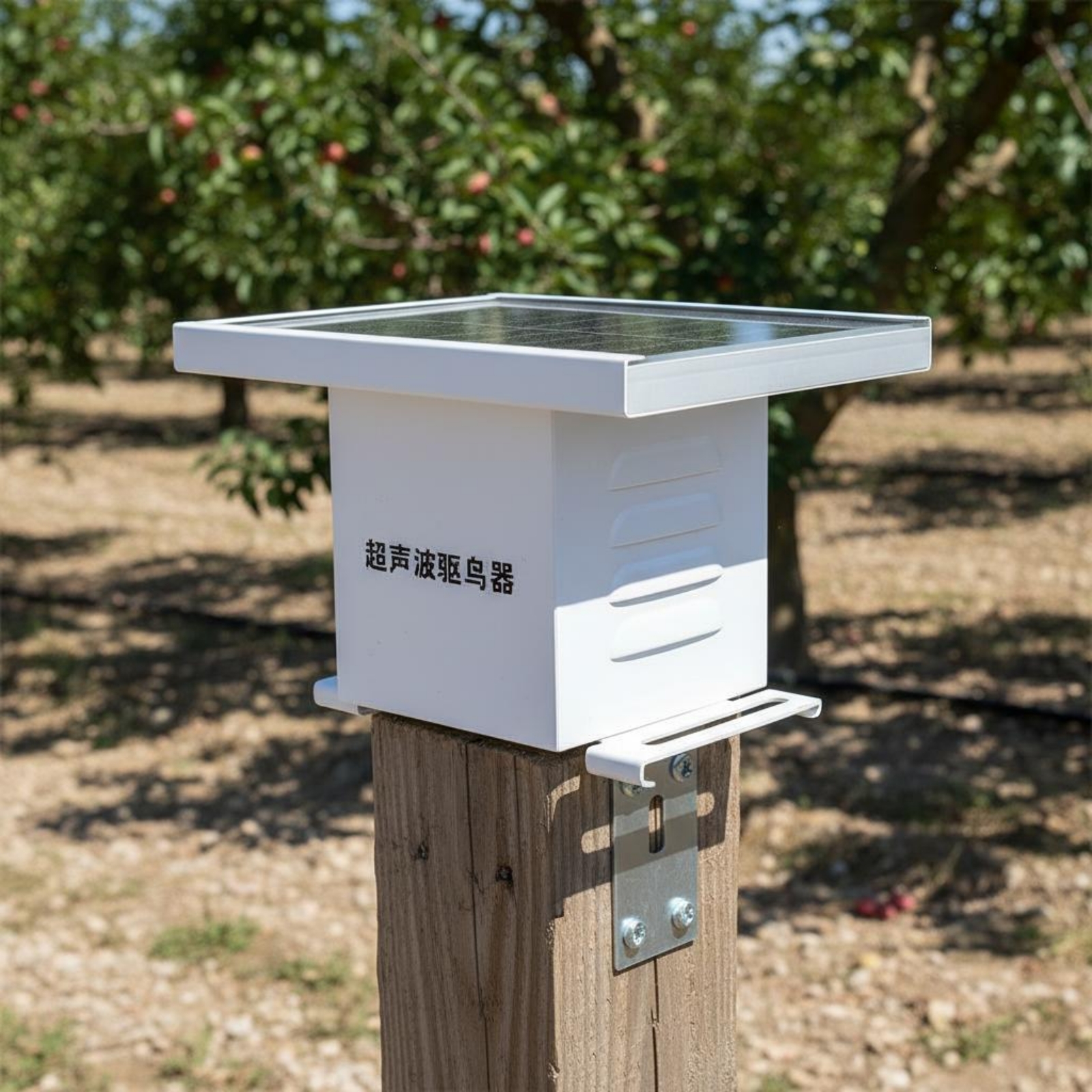 Solar High-Frequency Bird Repe - Solar Bird Scarer 评论和价格