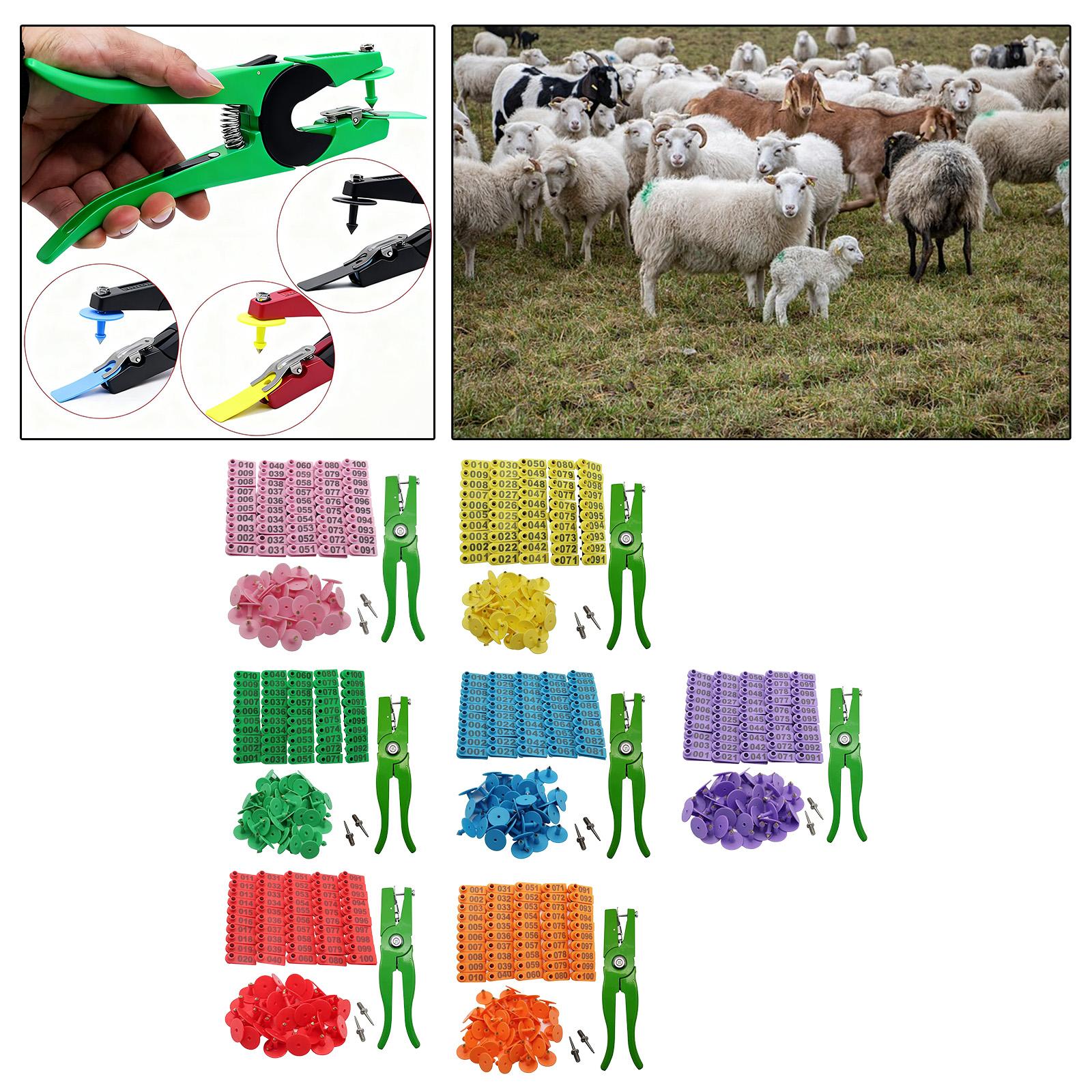 Livestock Animal ID Numbered E - Livestock Ear Tag 评论和价格