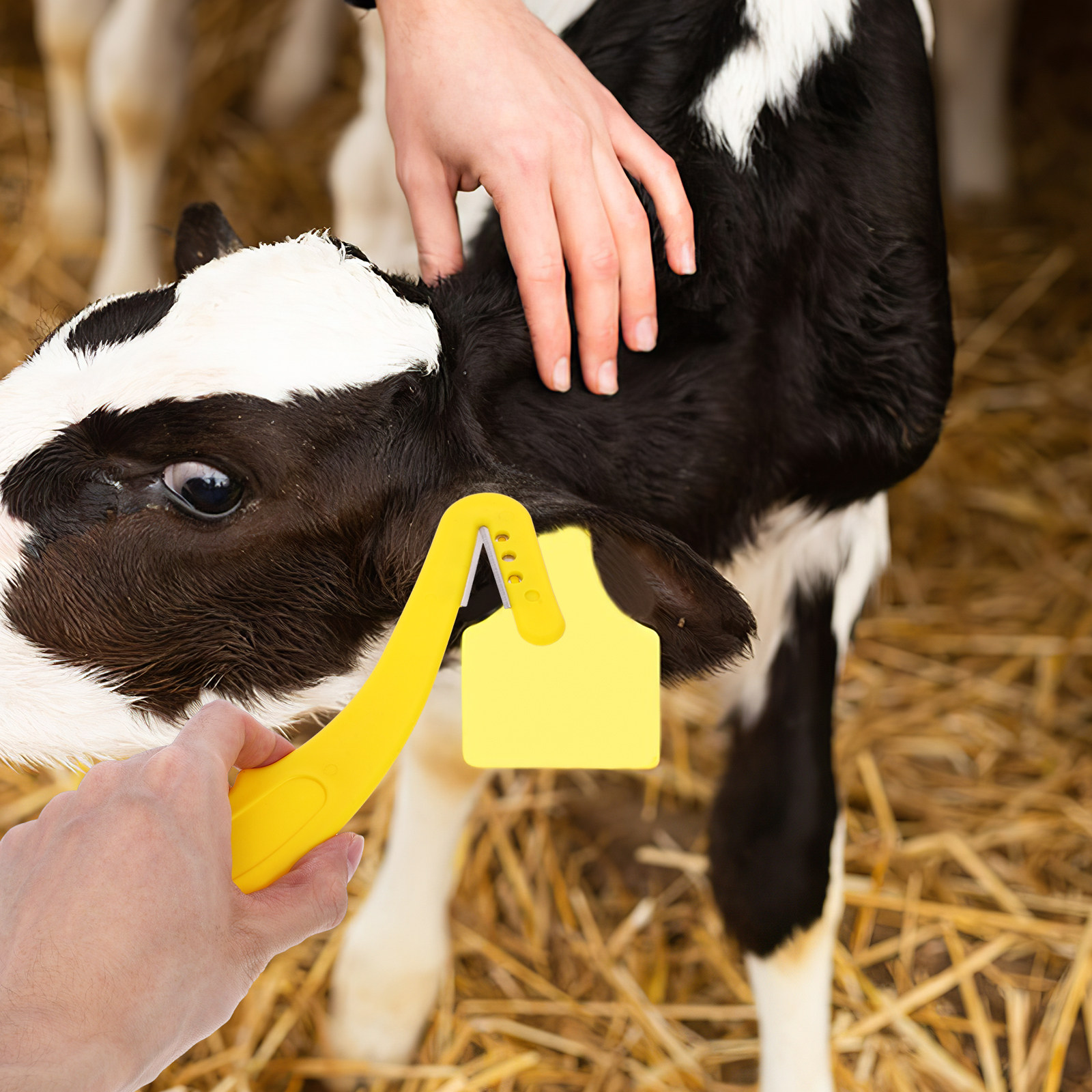 Ear Tag Removal Tool Professio - Livestock Ear Tag 评论和价格