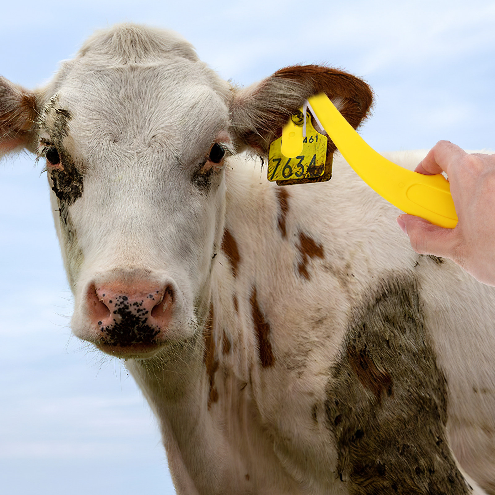 Ear Tag Removal Tool Professio - Livestock Ear Tag 评论和价格