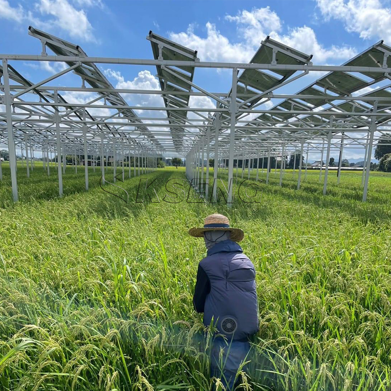Japan`s New Agriculture Alumin - Sustainable Agriculture/Farming 评论和价格